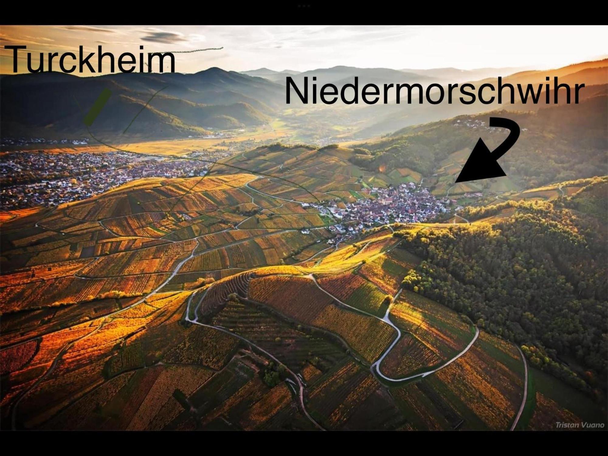 Caveau 1751 Niedermorschwihr Εξωτερικό φωτογραφία